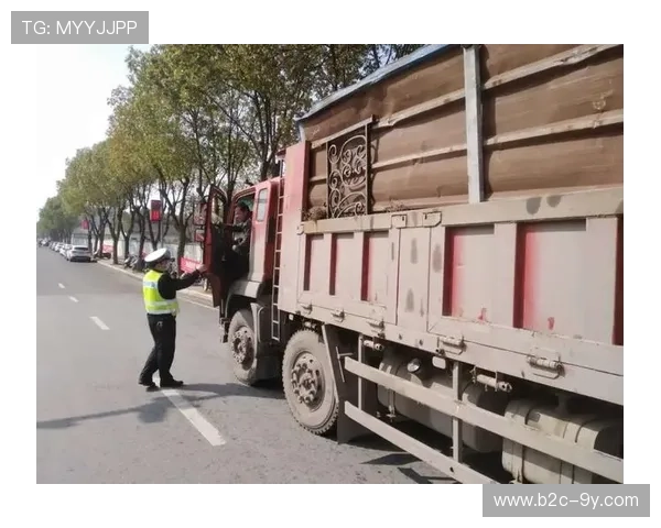 监管体系优化安全容量核定机制，夯实大型活动风险防控基础